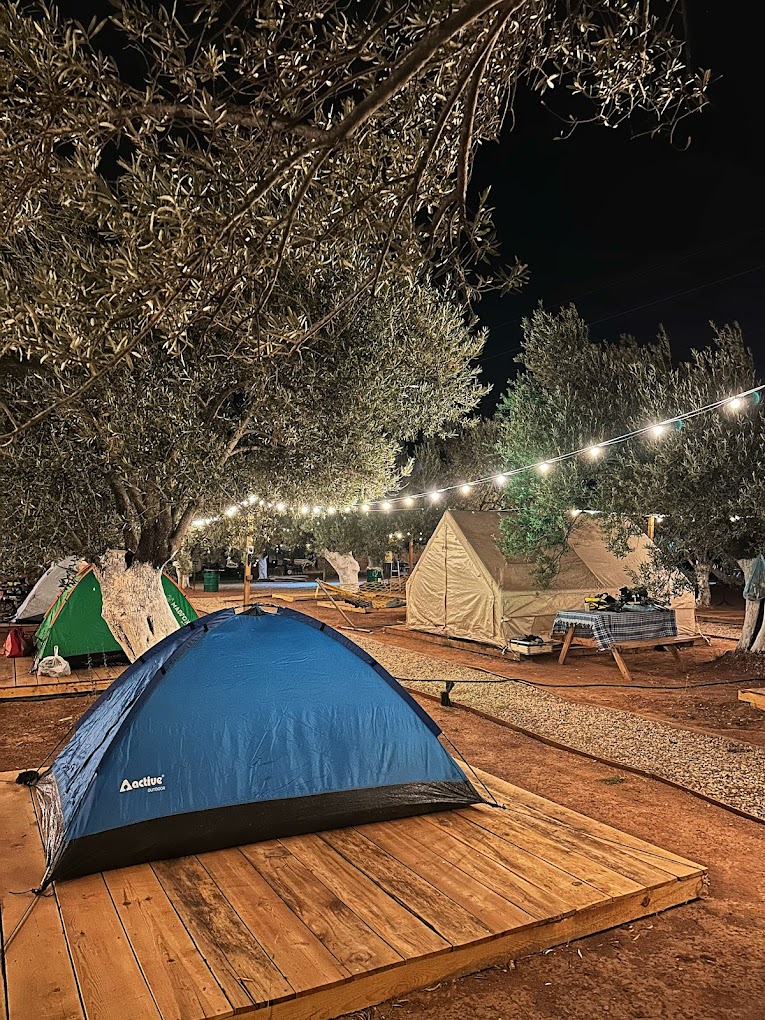 Vamos Camping - Fotoğraf 4
