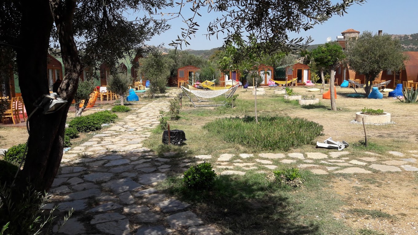 Şahmat Kamp - Fotoğraf 2