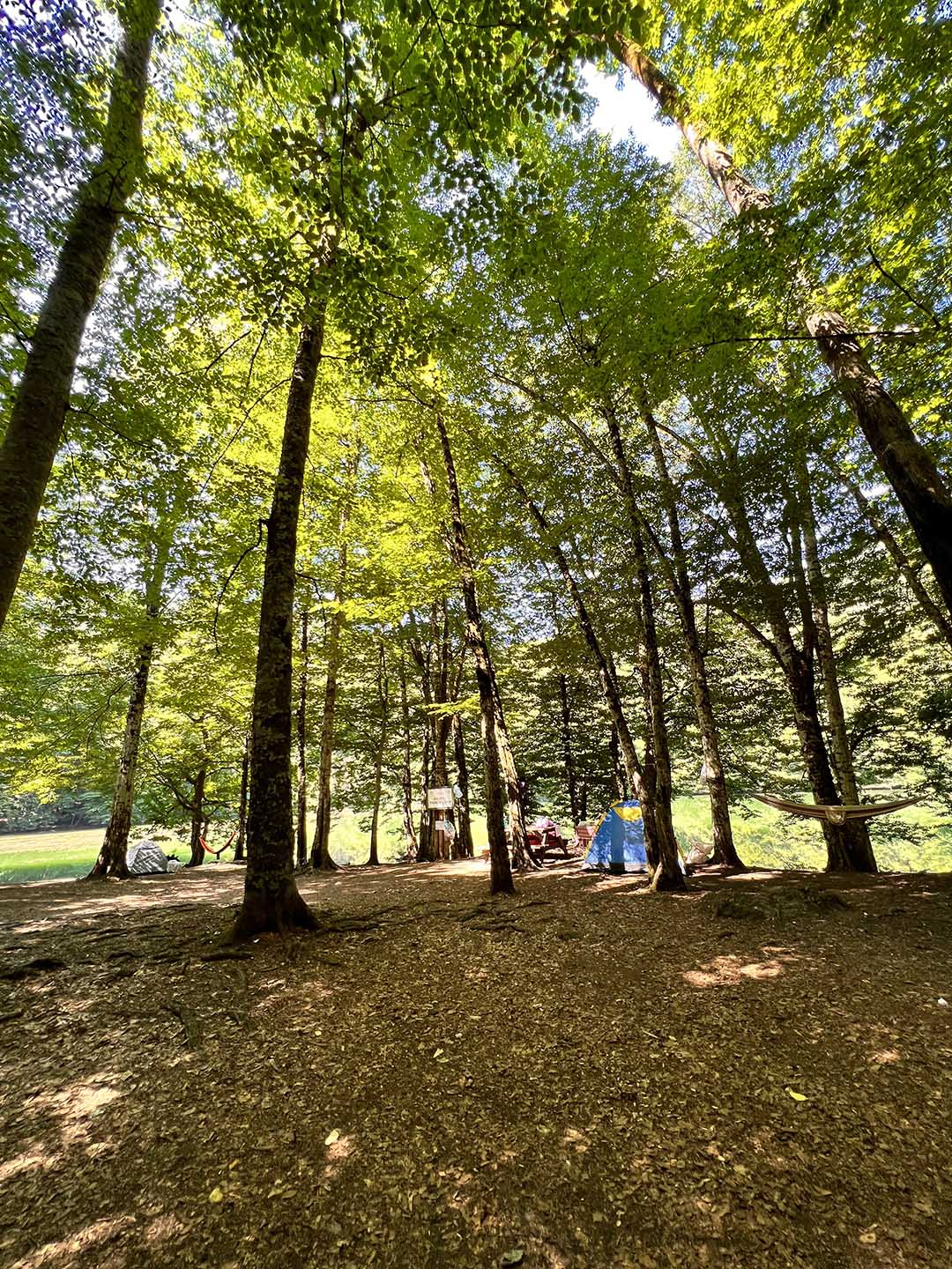 Yedigöller Milli Parkı Kamp Alanı - Fotoğraf 2