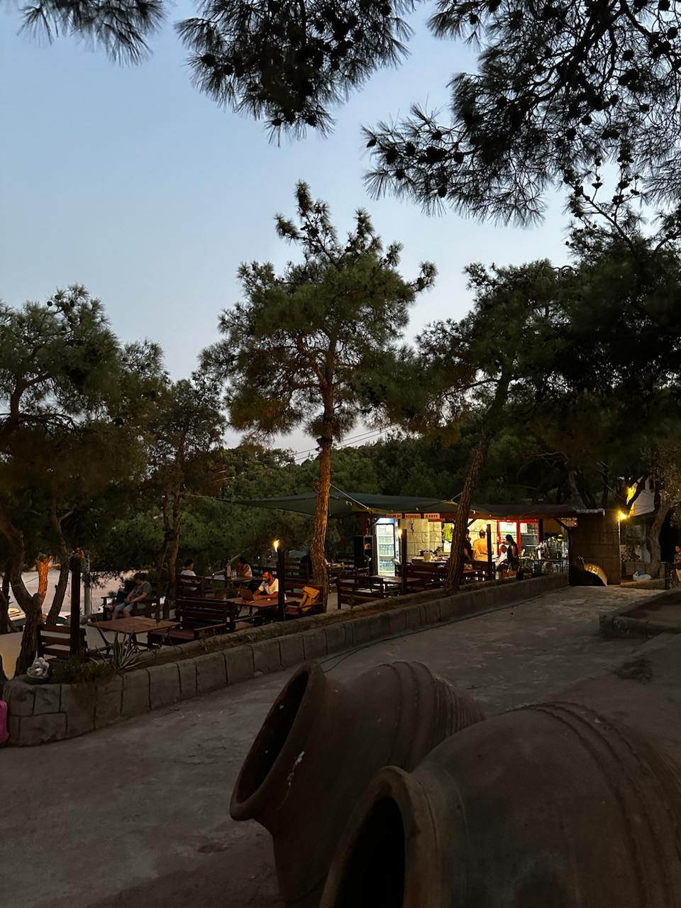 Ayvalık Çamlık Kamping - Fotoğraf 3