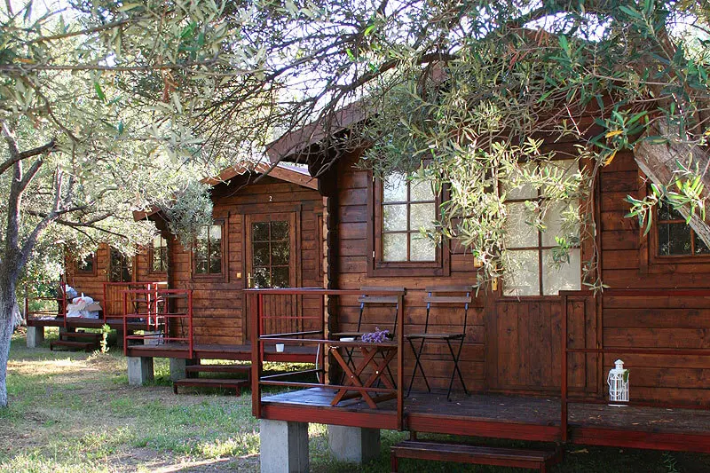 Assos Club Beyaz - Fotoğraf 2
