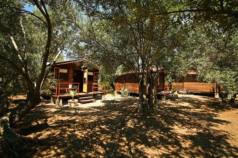 Assos Club Beyaz - Fotoğraf 3