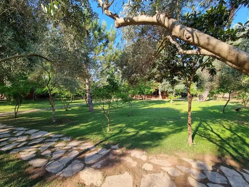Olympos Ray Bungalow - Fotoğraf 2