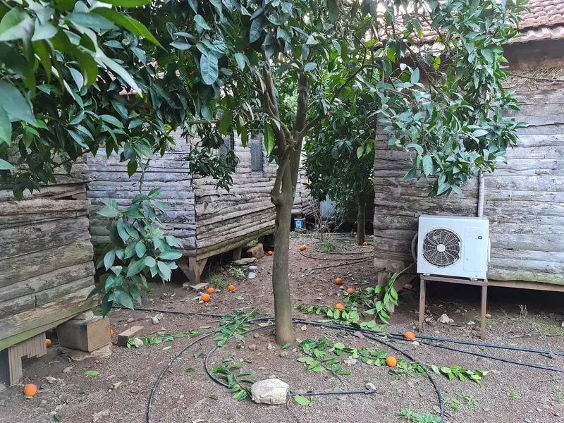 Truva Pansiyon - Fotoğraf 2