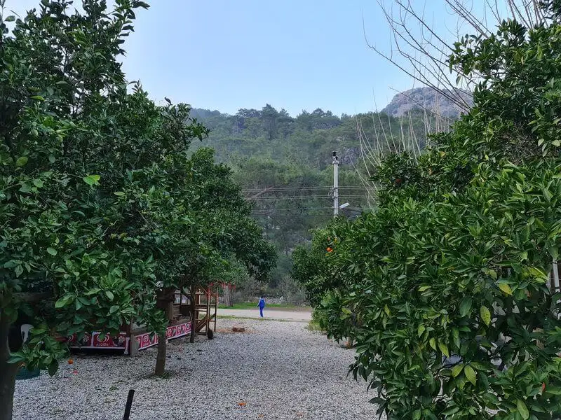 Truva Pansiyon - Fotoğraf 5