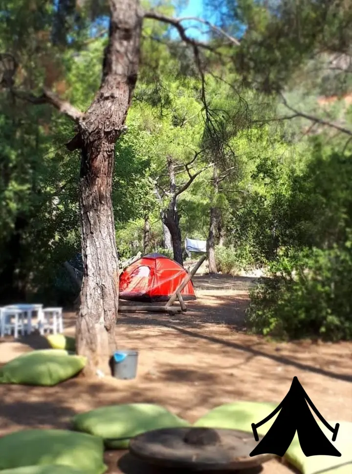 Jungle Bungalows &amp; Camping Fotoğrafı