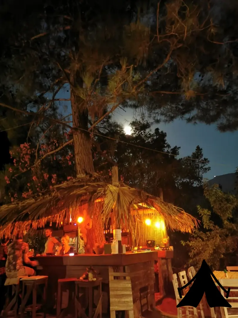 Jungle Bungalows &amp; Camping Fotoğrafı