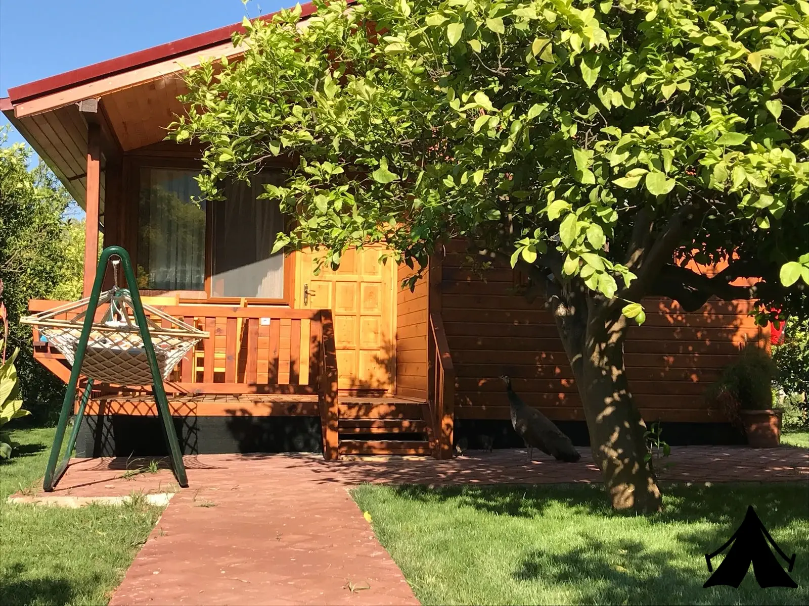 Asya Bungalow Çıralı Fotoğrafı