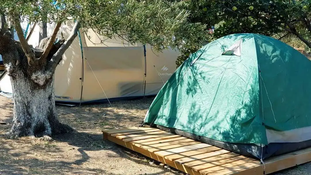 Sokakağzı Zeytin Kamp - Fotoğraf 3