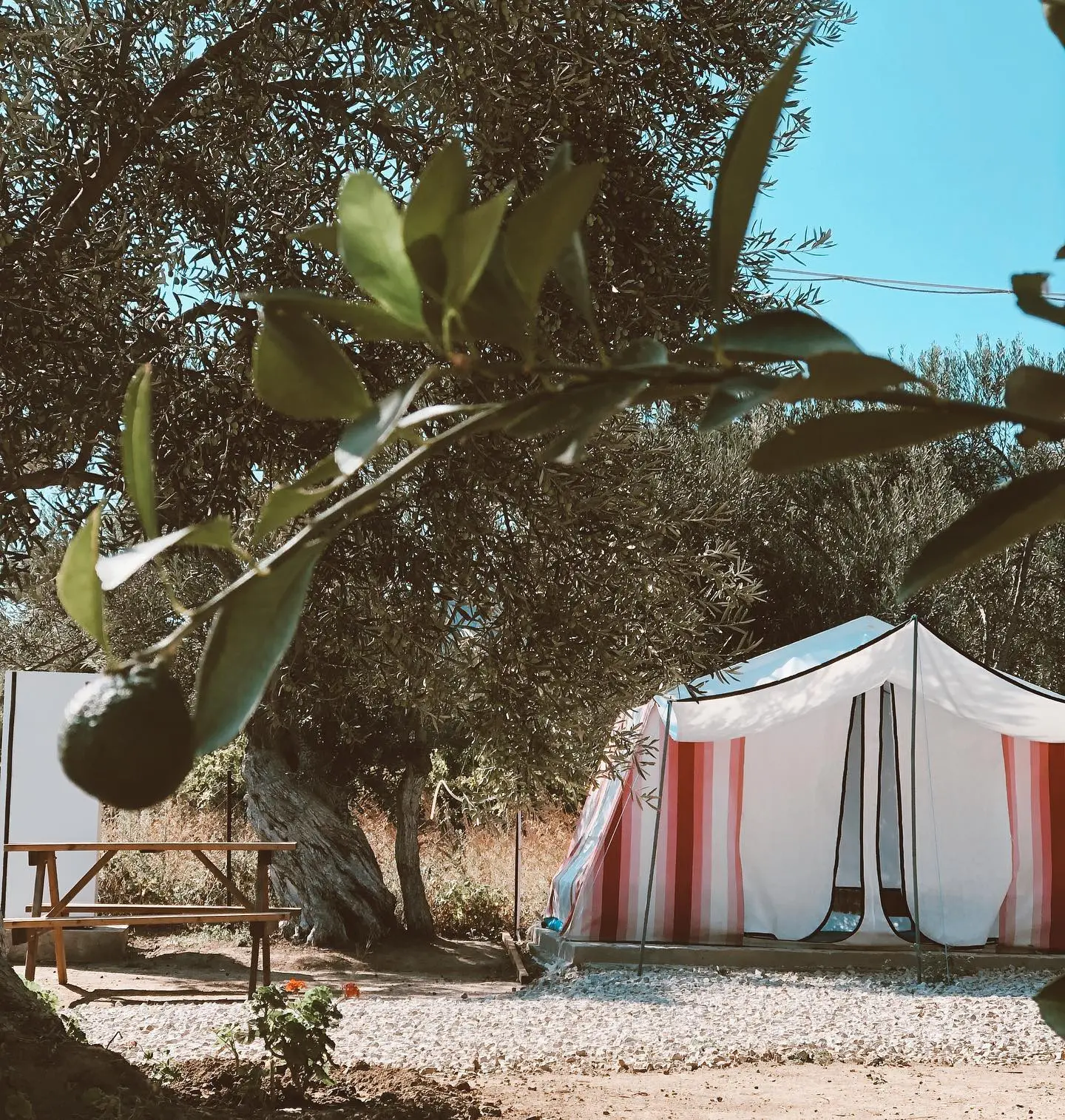 Zeus Beach & Camping - Fotoğraf 4