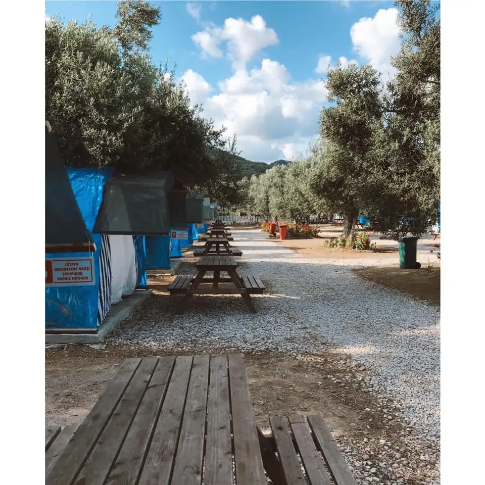 Zeus Beach & Camping - Fotoğraf 5