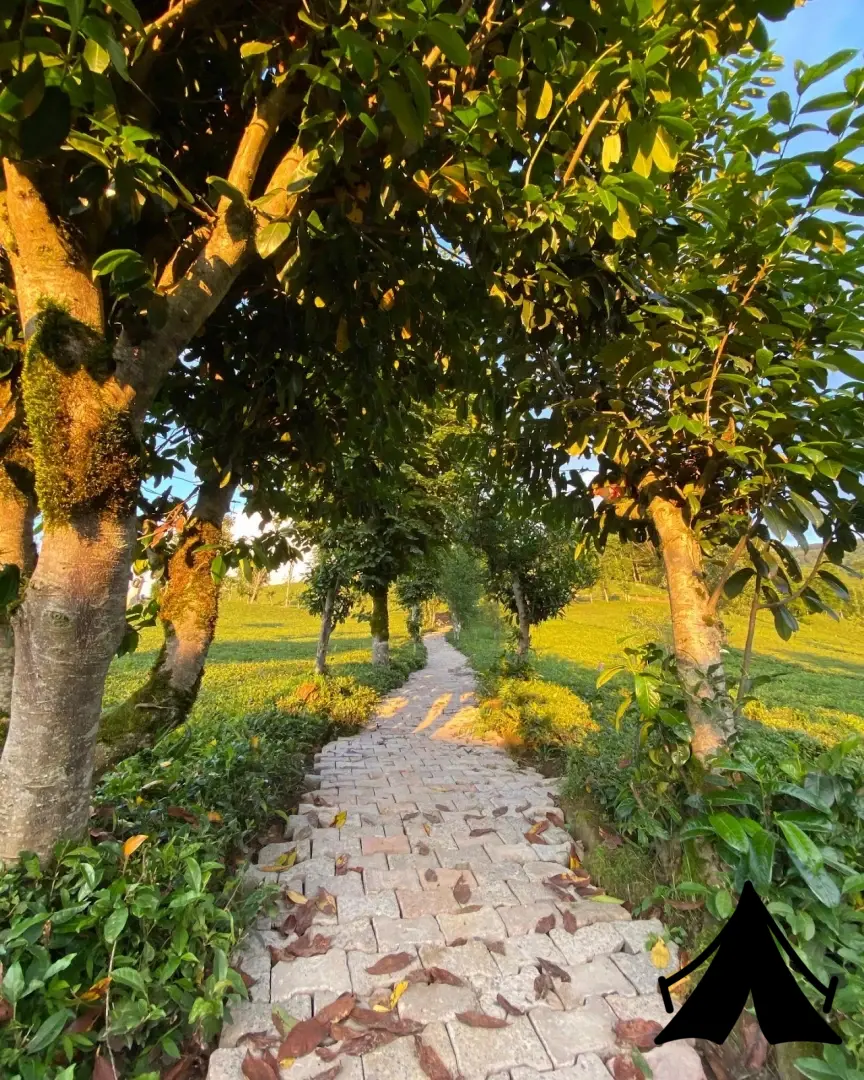 Doğallife Suit Bungalov Fotoğrafı