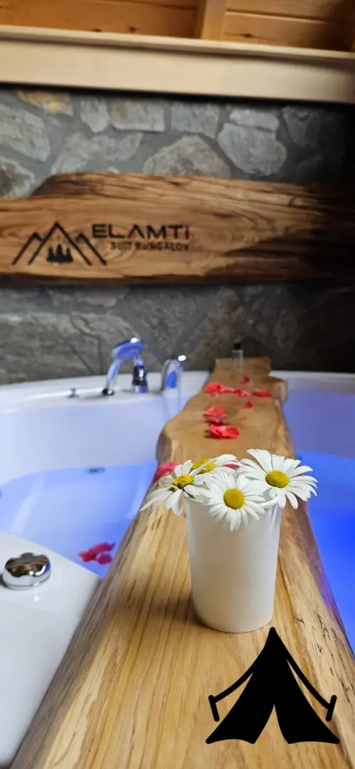 Elamti Suit Bungalov Fotoğrafı