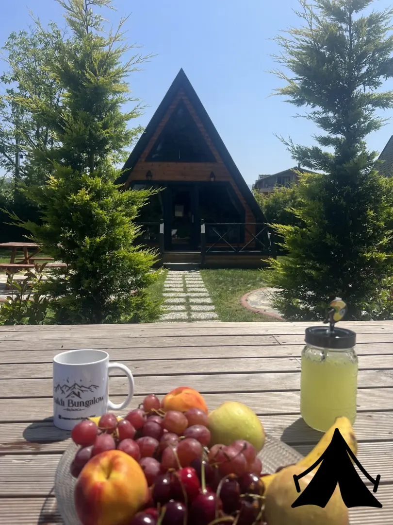 Kamp yeri