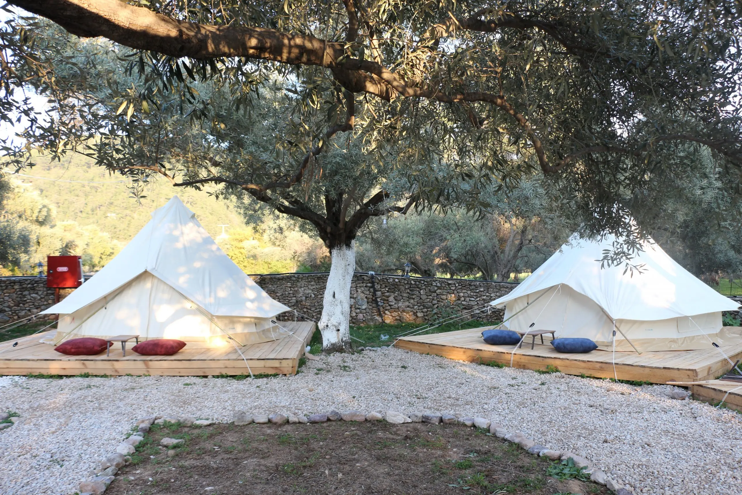 Ruina Glamping Fotoğrafı