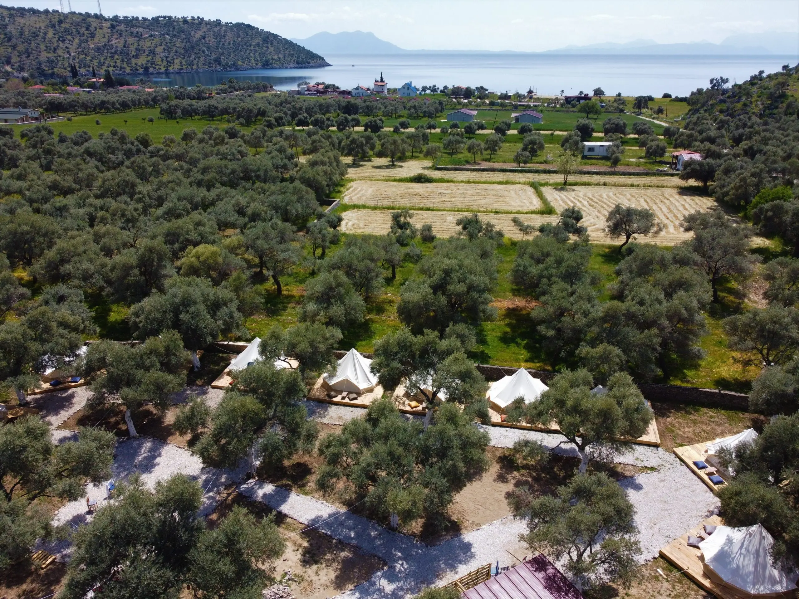 Ruina Glamping