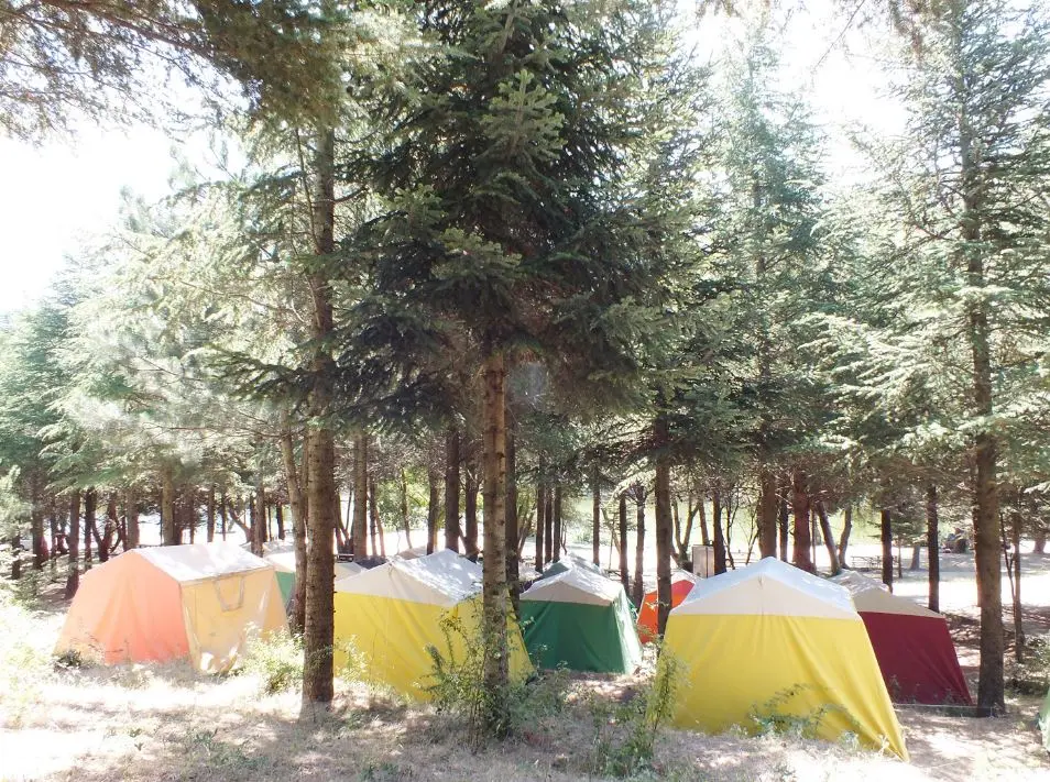 Karagöl Orman Kampı - Fotoğraf 2