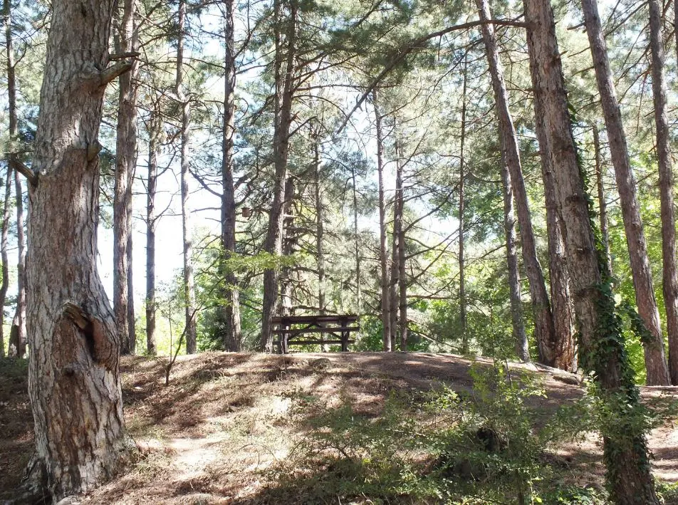 Karagöl Orman Kampı - Fotoğraf 4