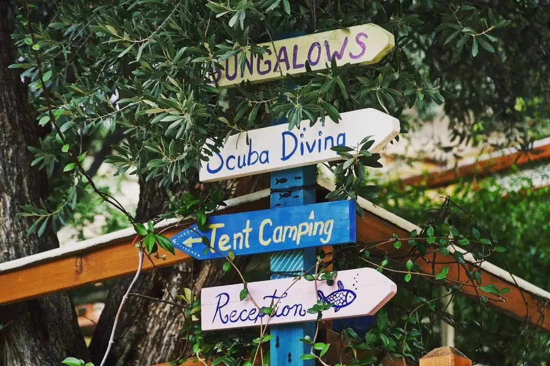 Karagöl Orman Kampı - Fotoğraf 5