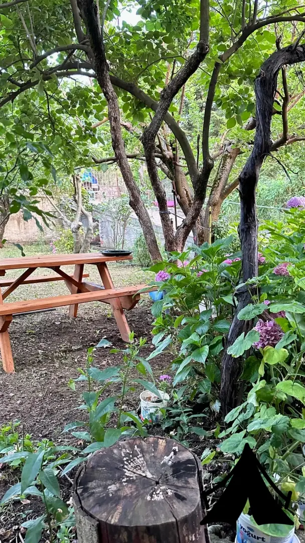 Derekızık Amcanın Çiftliği KARAVAN PARK,KAMP ALANI,PİKNİK ALANI(BURSA)KESTEL Fotoğrafı