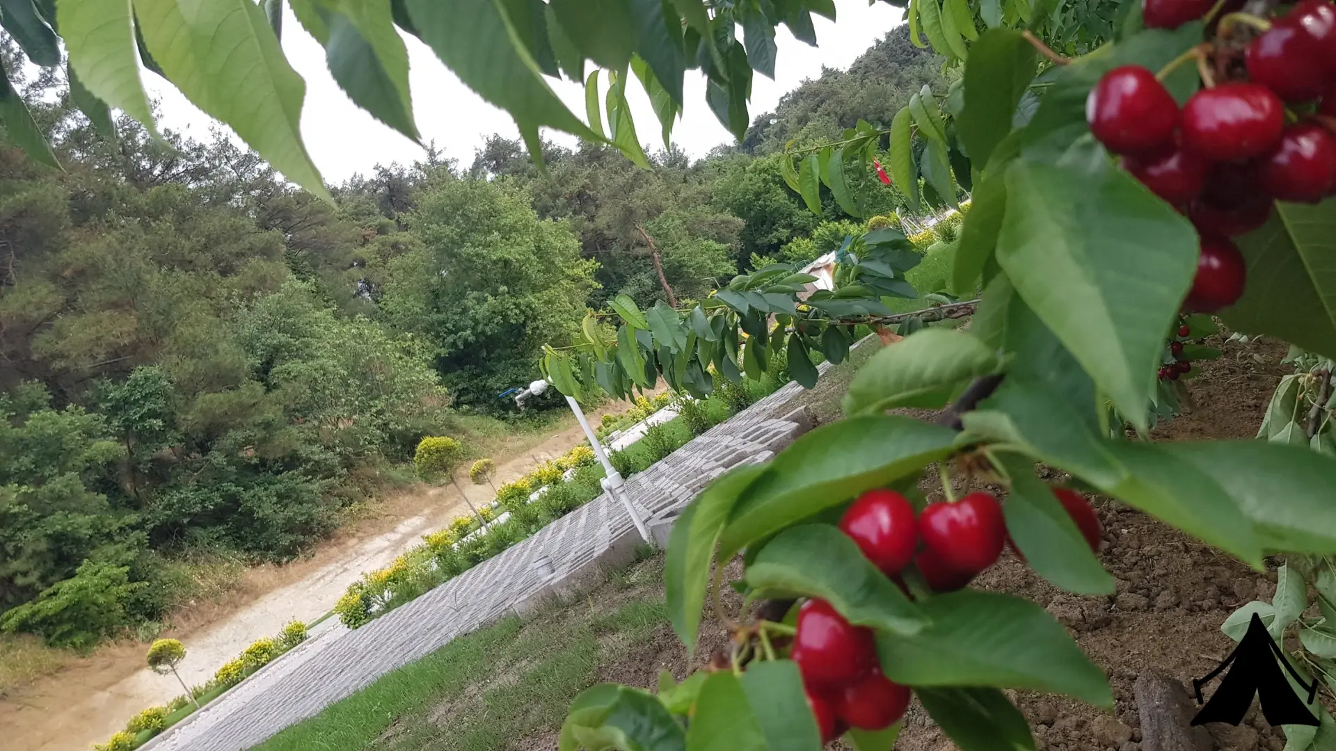 Bursa Karavan Park Fotoğrafı
