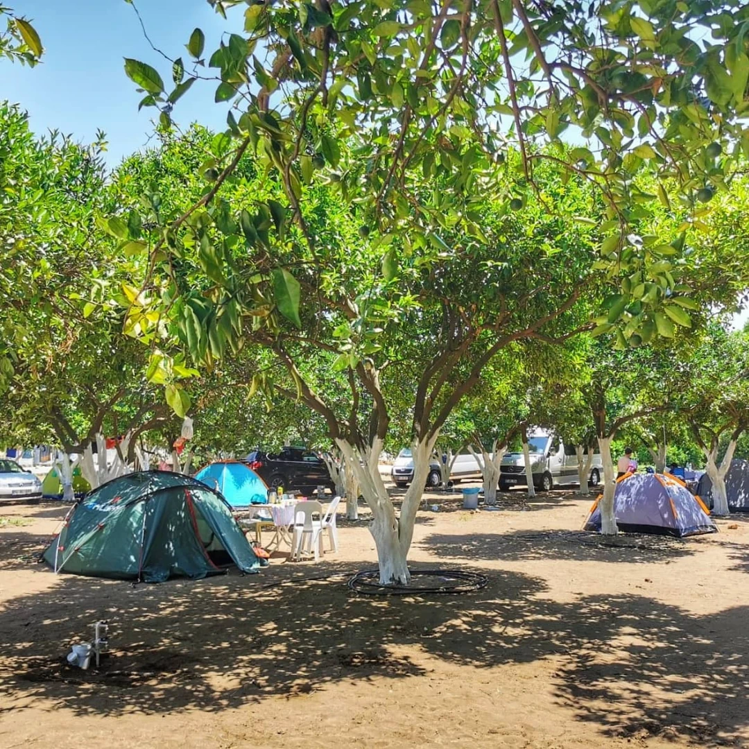 Minta Karavan Camping çadır alanı