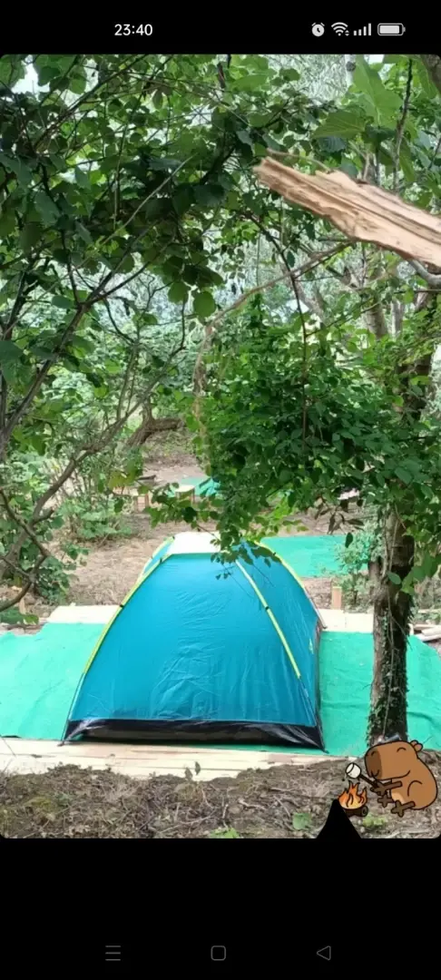 Karavan Park&amp;Çadır Kamp Alanı Fotoğrafı