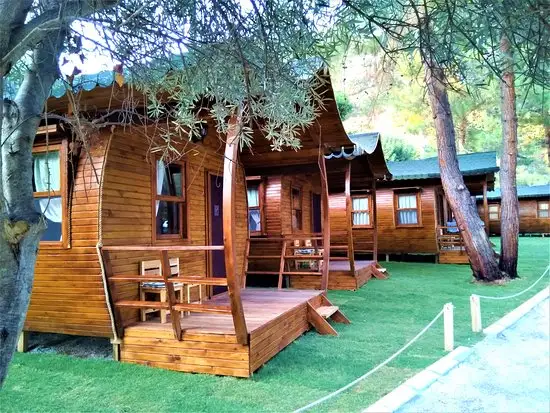 Green Pine Beach & Bungalows Luxury Concept - Fotoğraf 5
