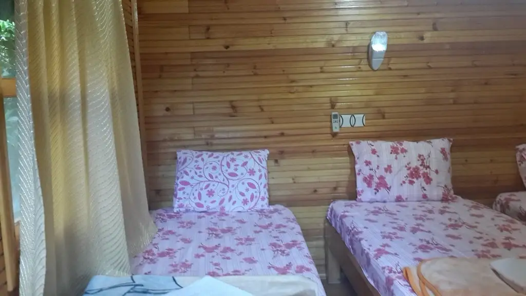 Olimpos Zeytin Pansiyon - Fotoğraf 2