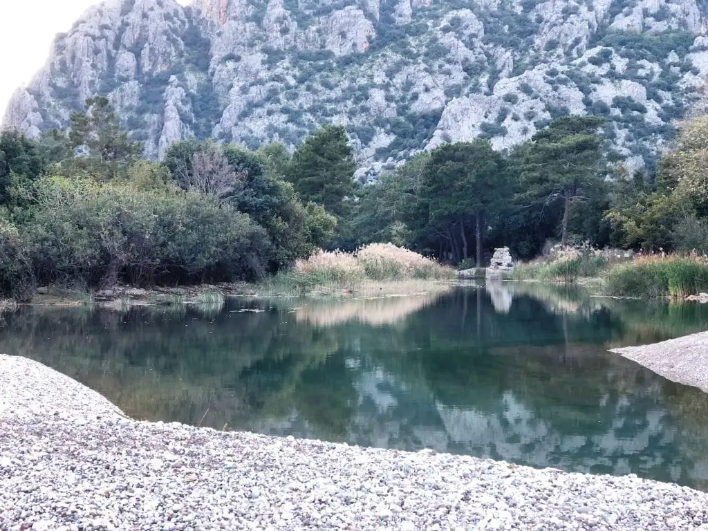 Olimpos Zeytin Pansiyon - Fotoğraf 3