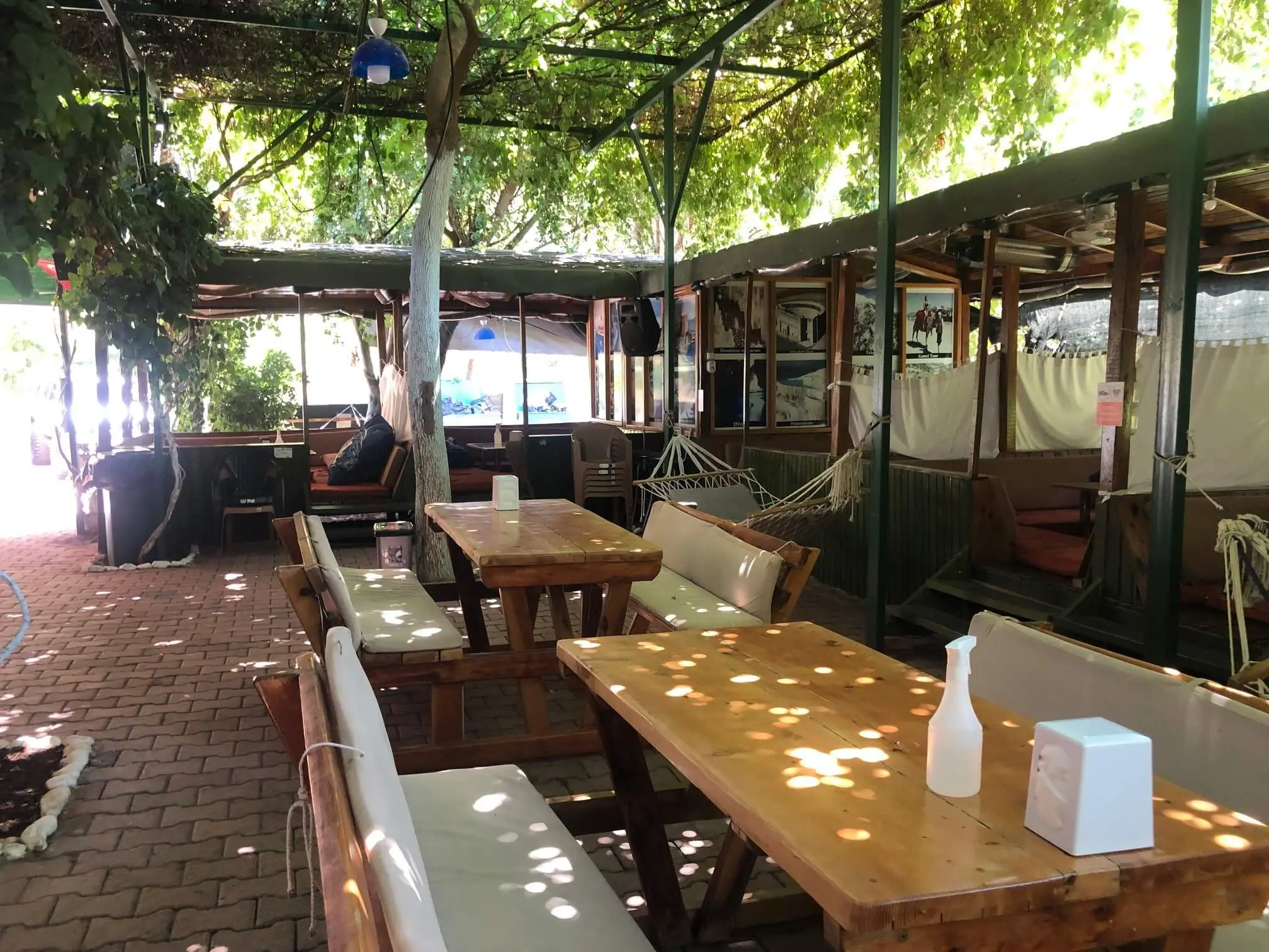 Olimpos Zeytin Pansiyon - Fotoğraf 4