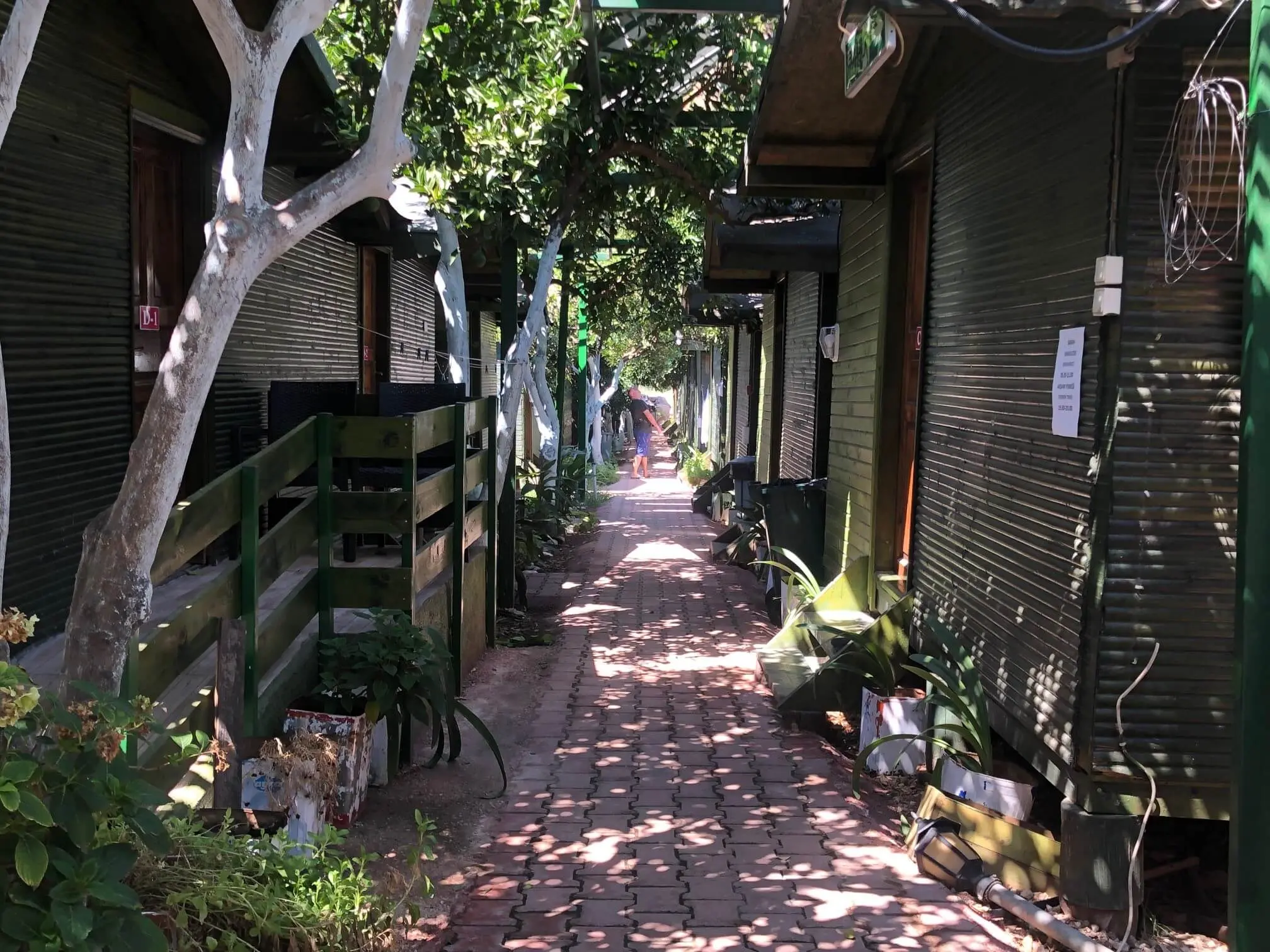 Olimpos Zeytin Pansiyon - Fotoğraf 5