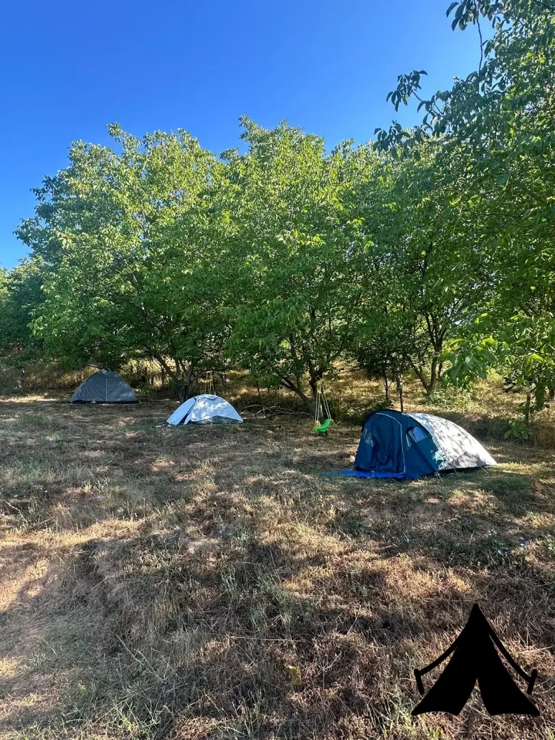 Vage Karavan Kampı Fotoğrafı