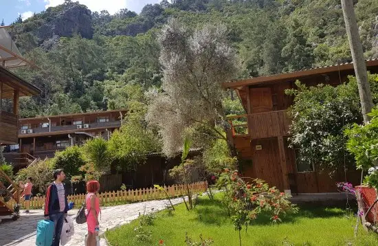 Türkmen Ağaç Evleri - Fotoğraf 2