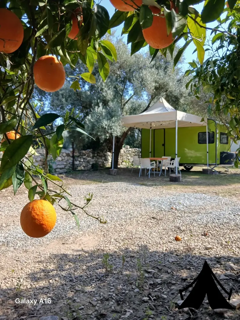 Defne Camping Fotoğrafı