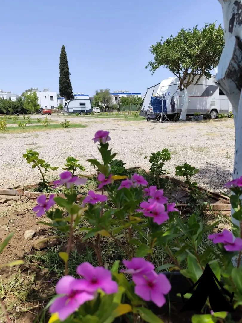 Sezer CARAVAN CAMPING Fotoğrafı