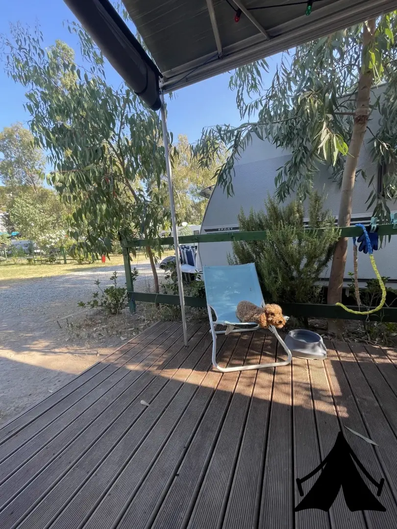 Cüce Camping Fotoğrafı