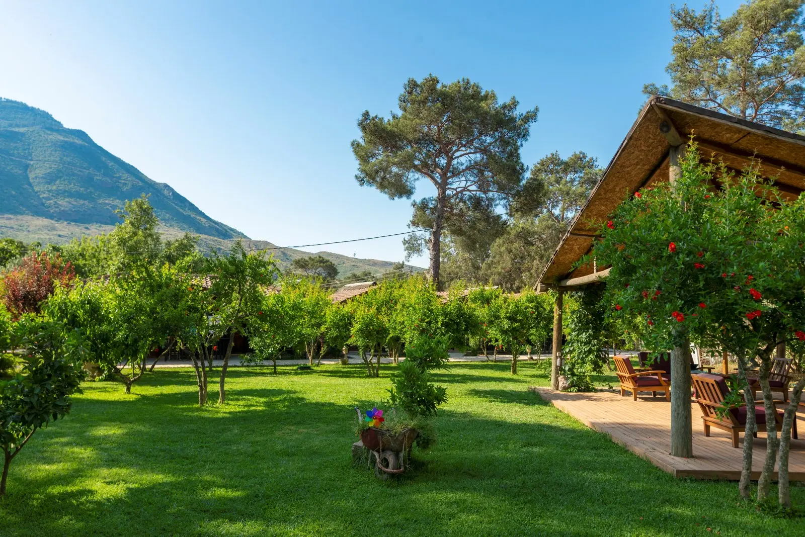 Olympos Koala Bungalows - Görsel 1