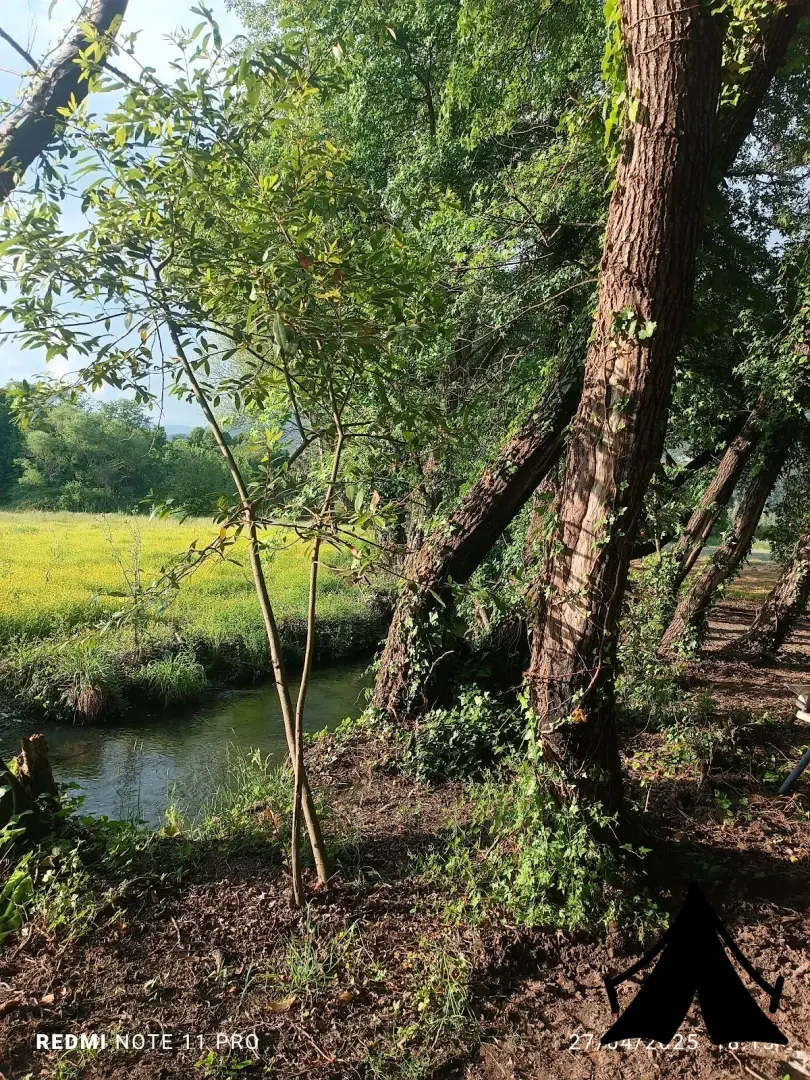Köyceğiz Karavan Park Fotoğrafı