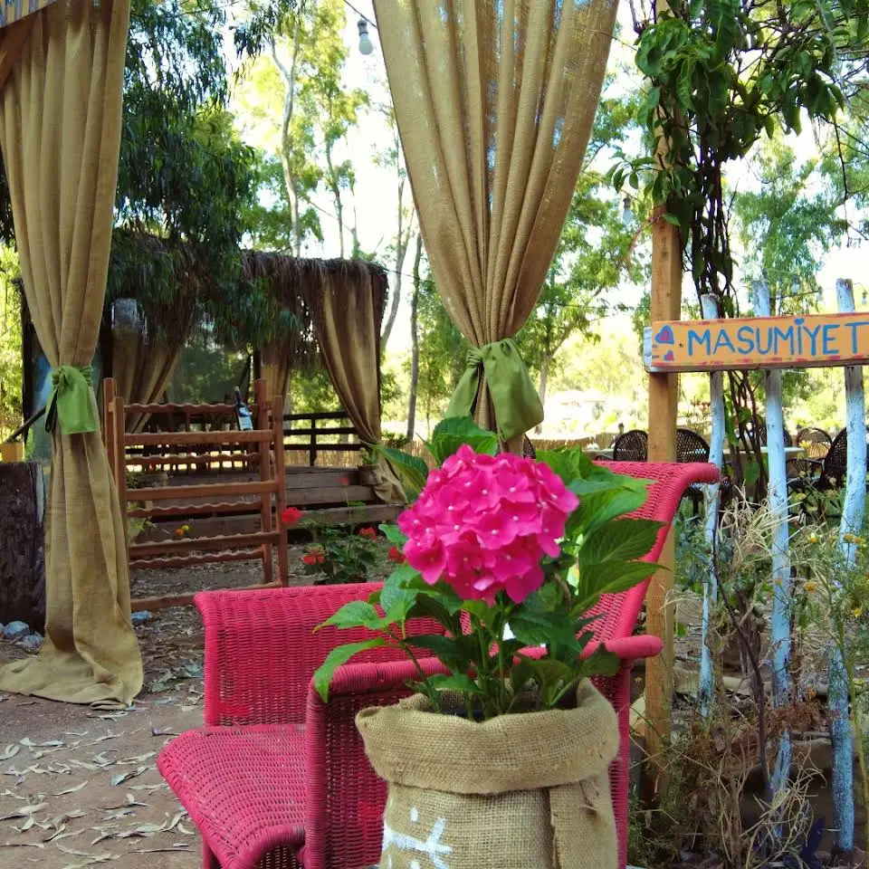 Gizli Cennet Camping - Fotoğraf 2