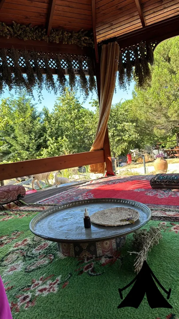 Kamp yeri