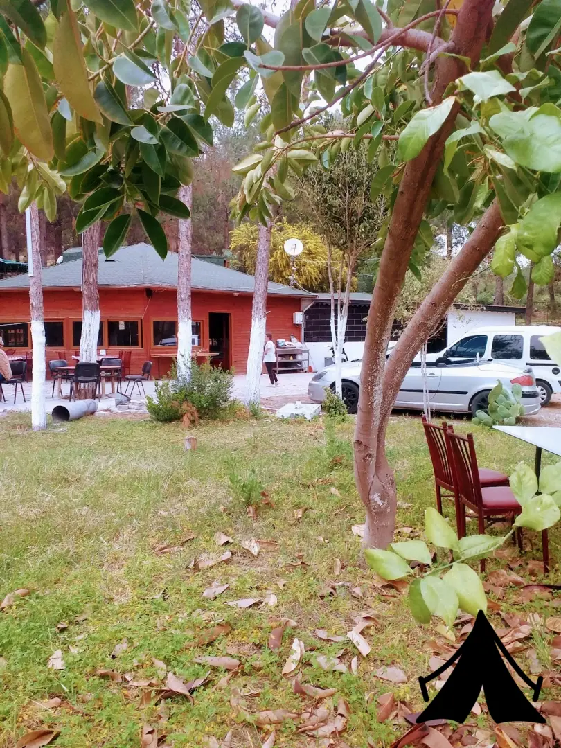 Kamp yeri