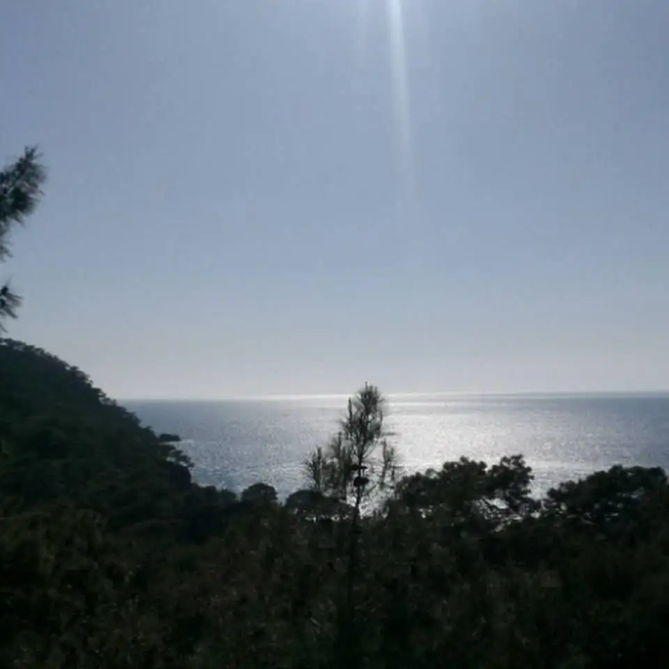 Aşiyan Kamp - Fotoğraf 2