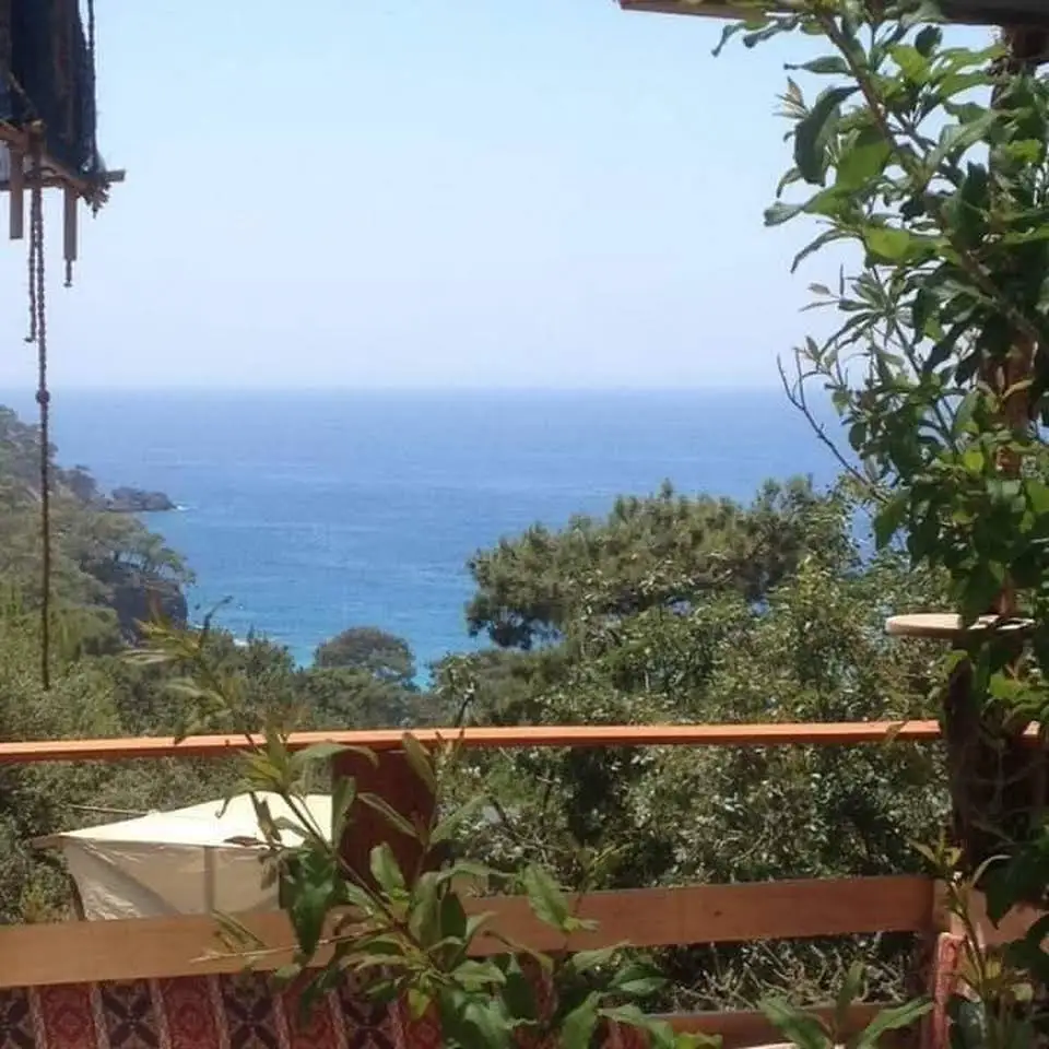 Aşiyan Kamp - Fotoğraf 5