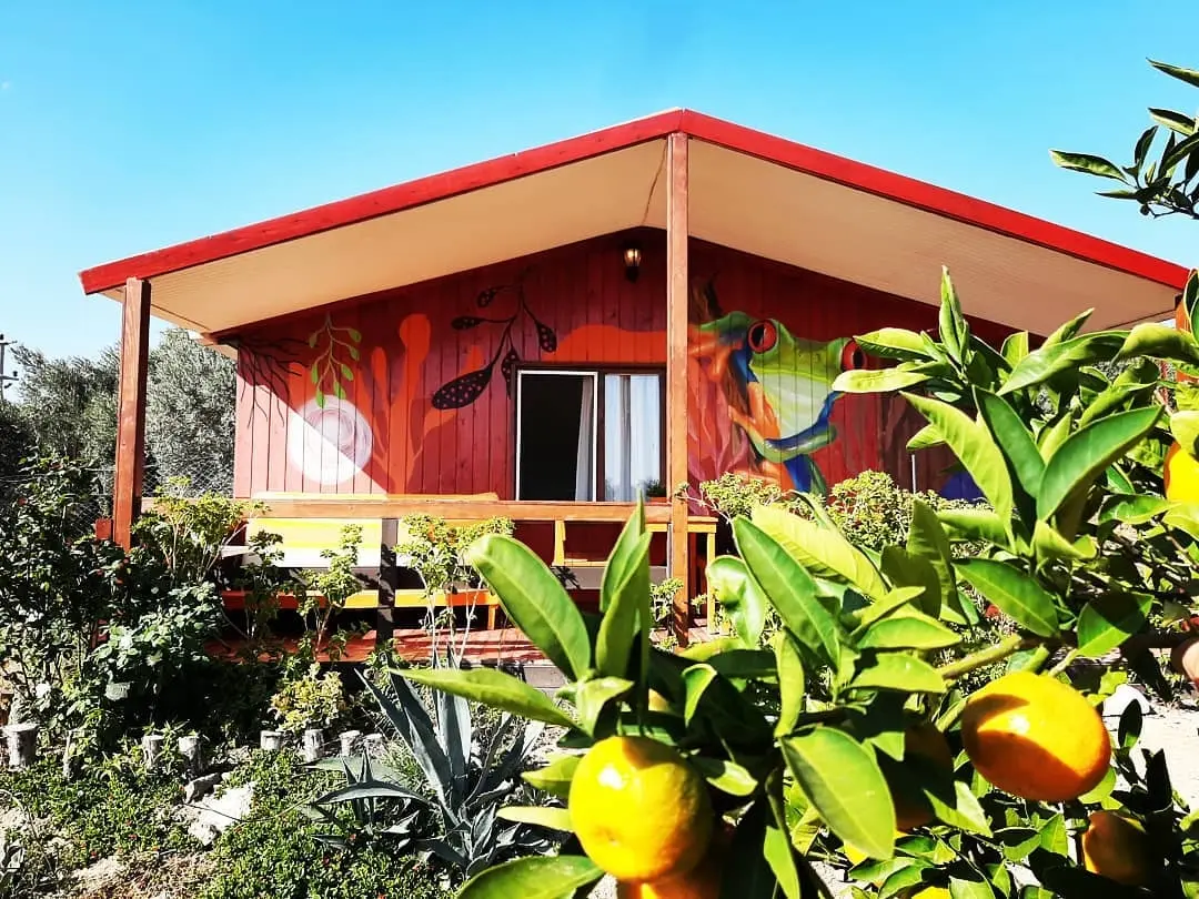 Bungalove Camp - Fotoğraf 3