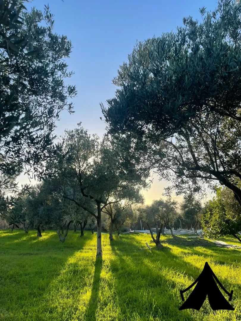 UrlaVan Karavan Parkı Fotoğrafı