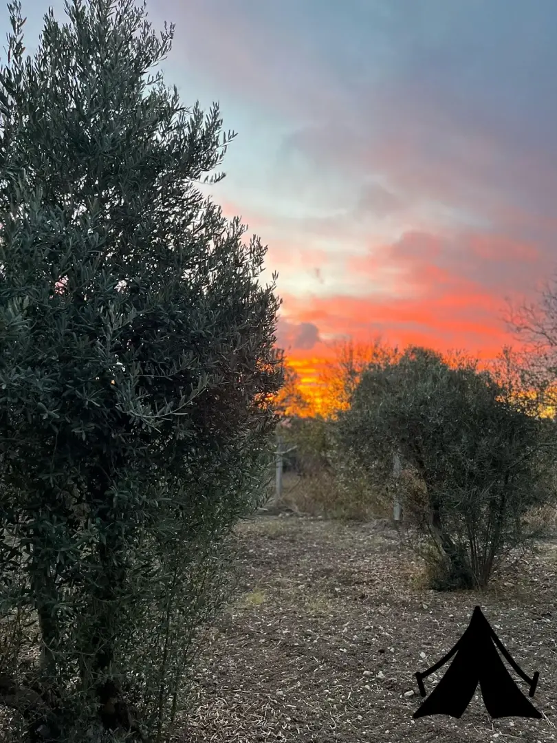UrlaVan Karavan Parkı Fotoğrafı