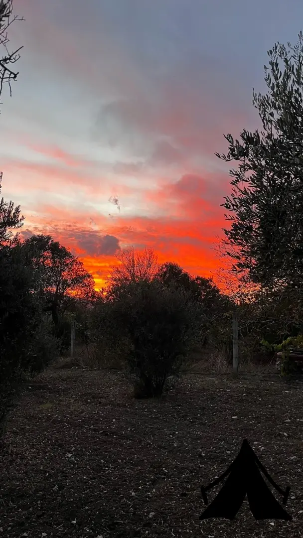 UrlaVan Karavan Parkı Fotoğrafı