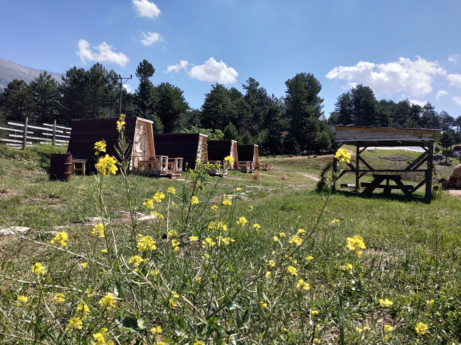Uludağ Kamping - Fotoğraf 3