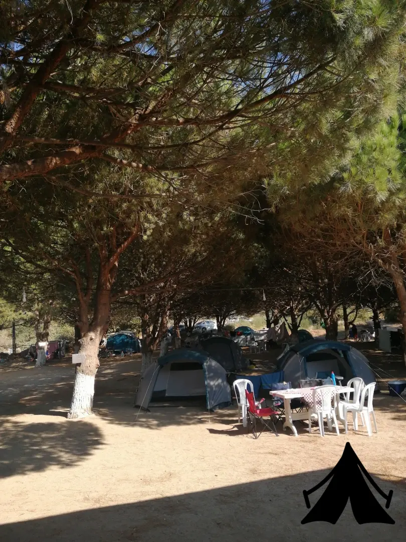 SeaLifeCampBeach Fotoğrafı
